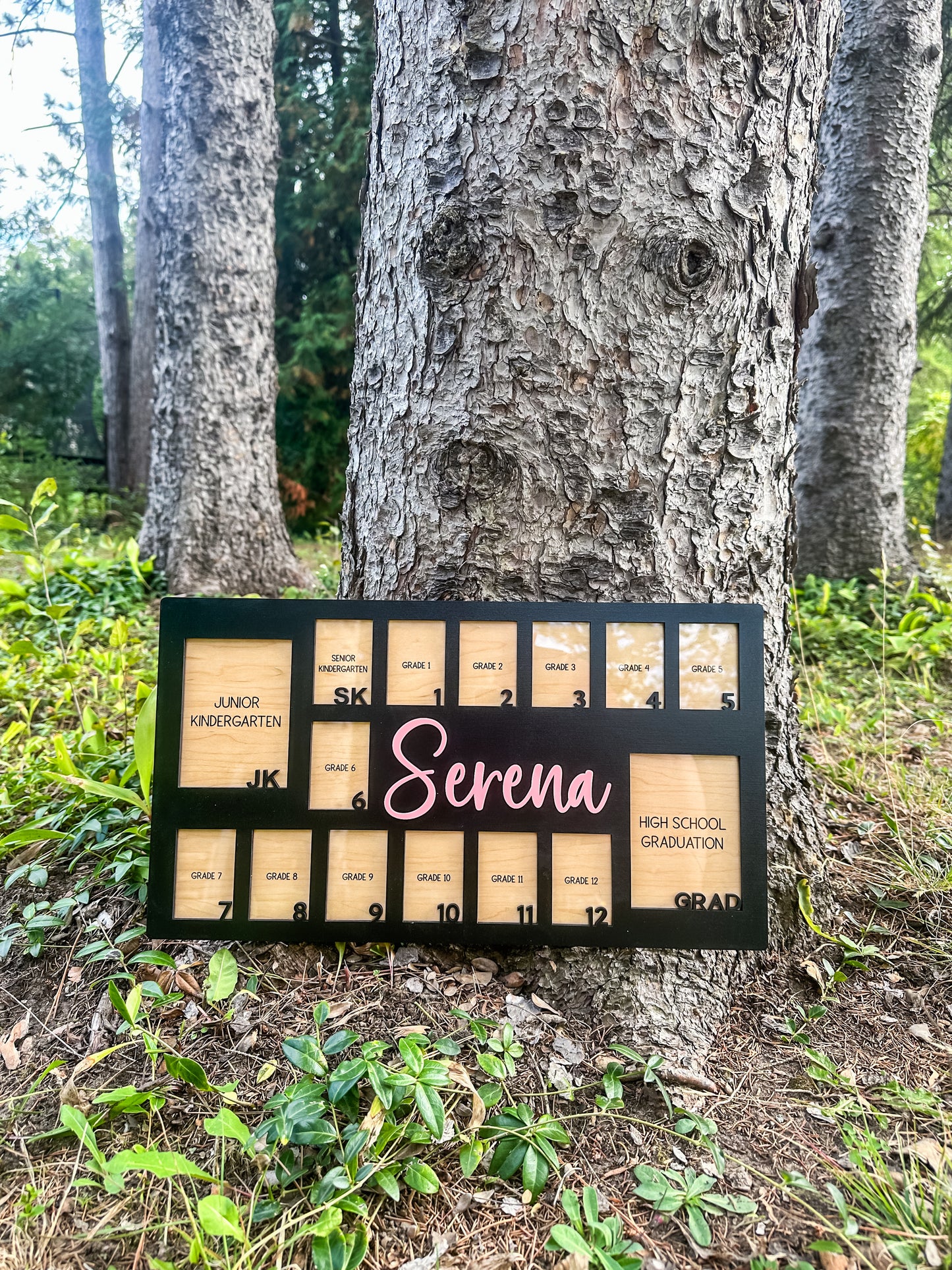 School Years Frame