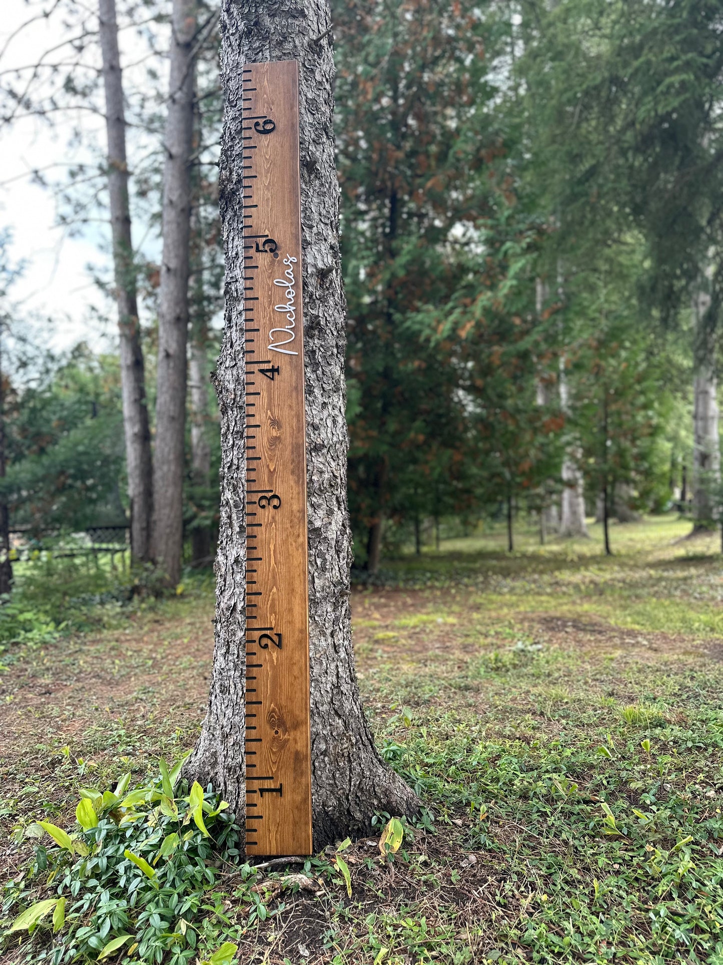 Solid Wood Growth Chart