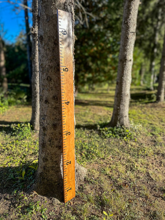 Solid Wood Growth Chart