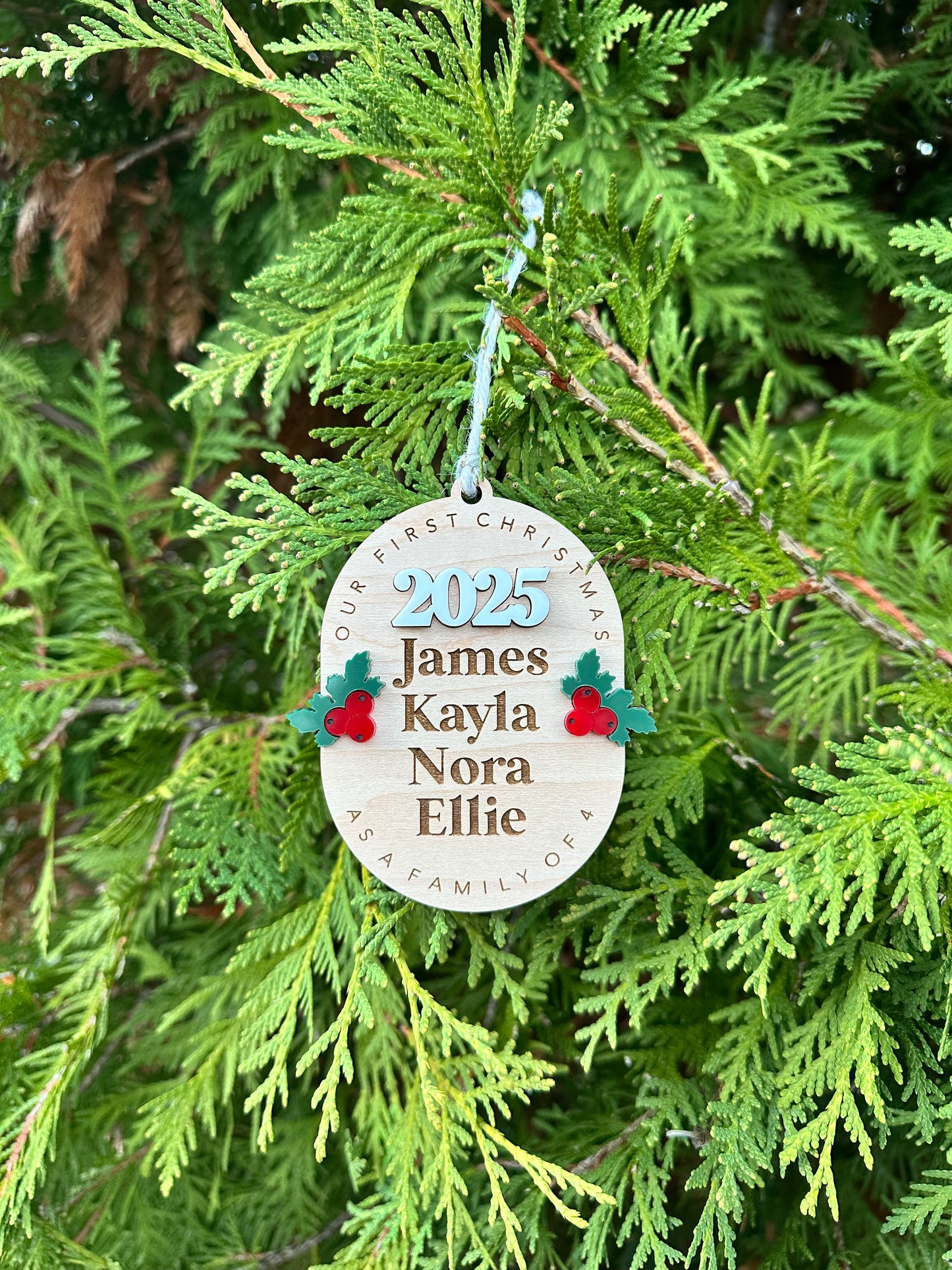 First Year as a Family Ornament