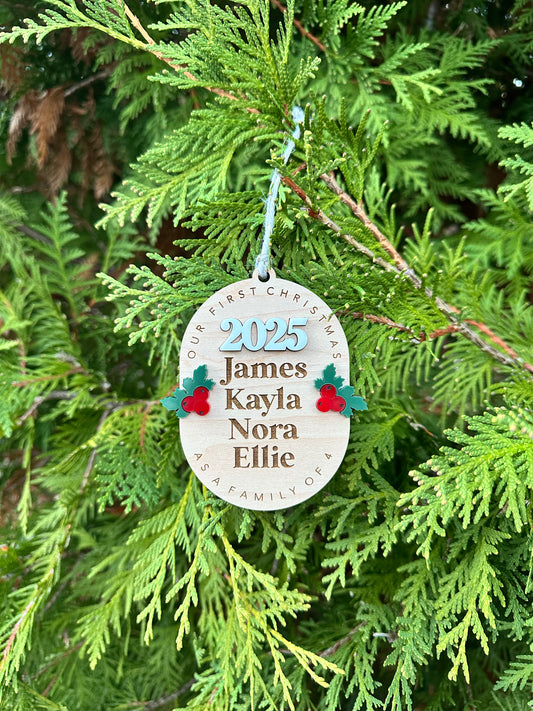 First Year as a Family Ornament