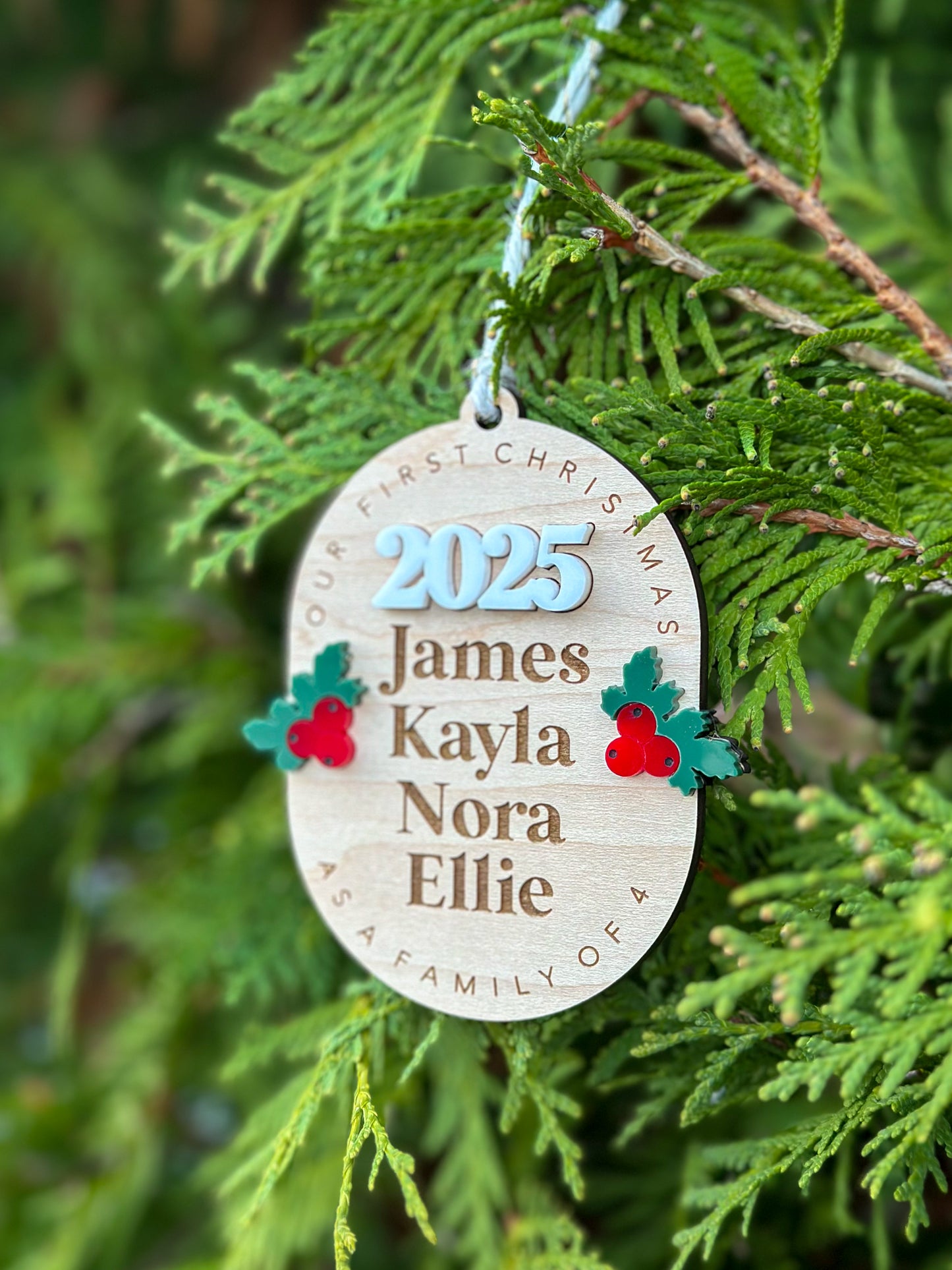 First Year as a Family Ornament